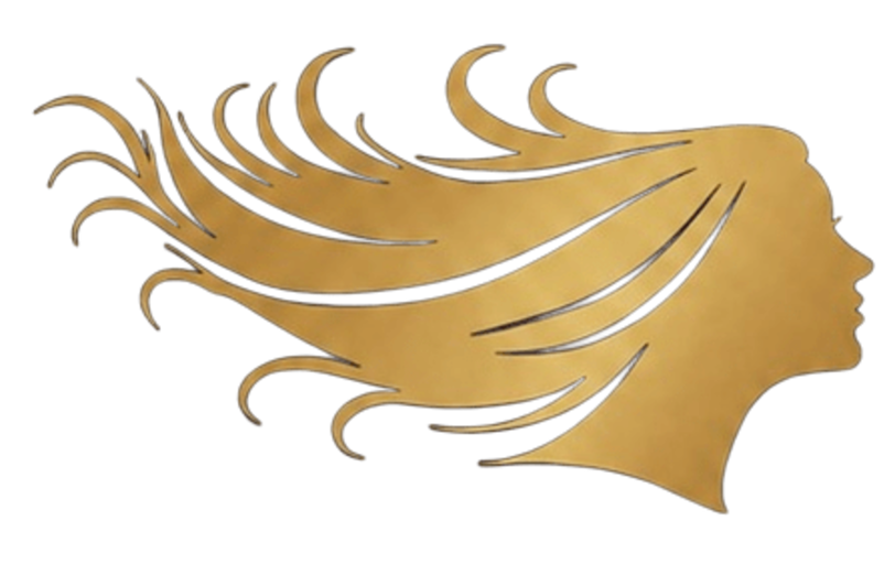 Maxi Hair Style Logo